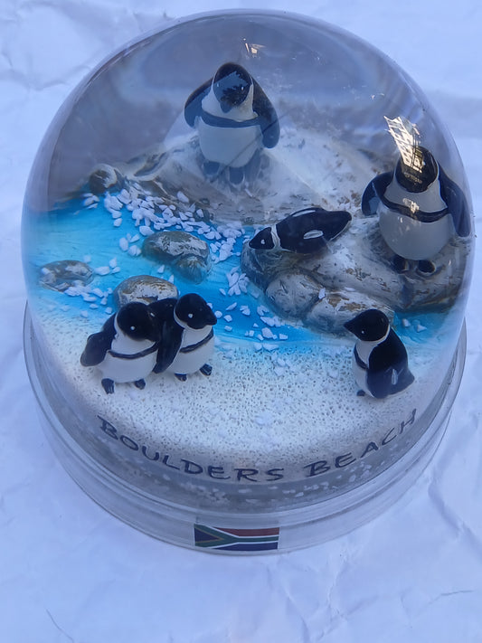 Boulders Beach Penguin Snow Globe