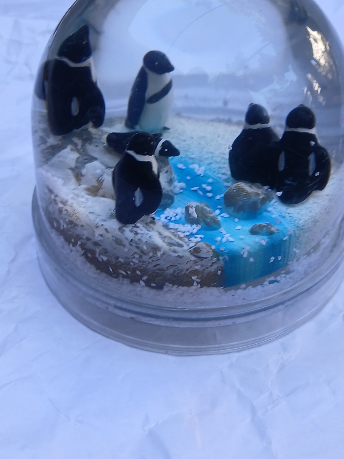 Boulders Beach Penguin Snow Globe