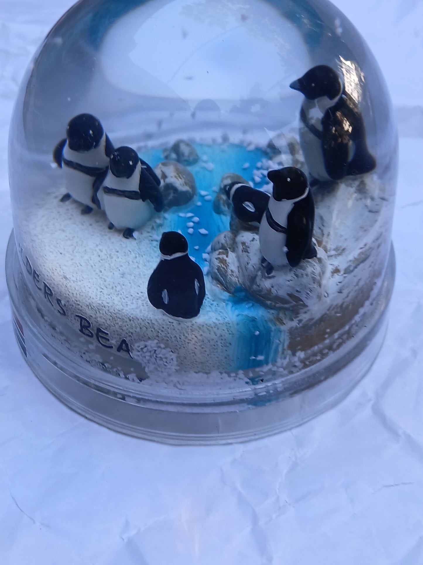 Boulders Beach Penguin Snow Globe