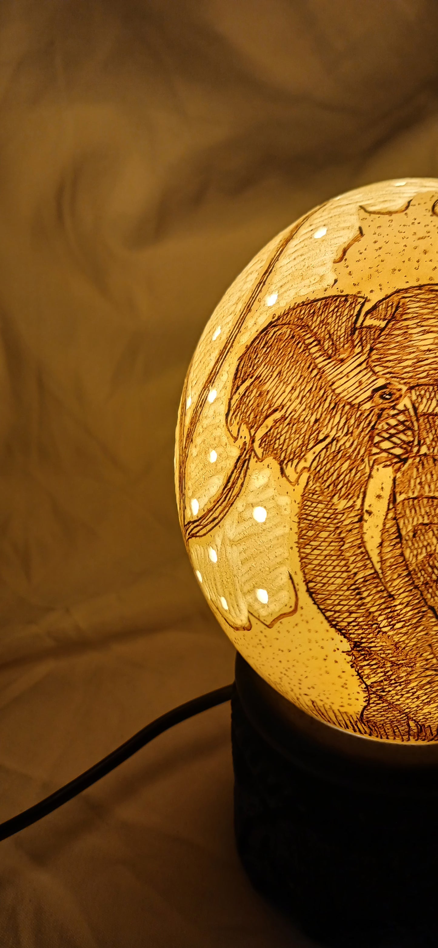 The Majestic Sentinel" – Hand-Etched Ostrich Egg Lamp